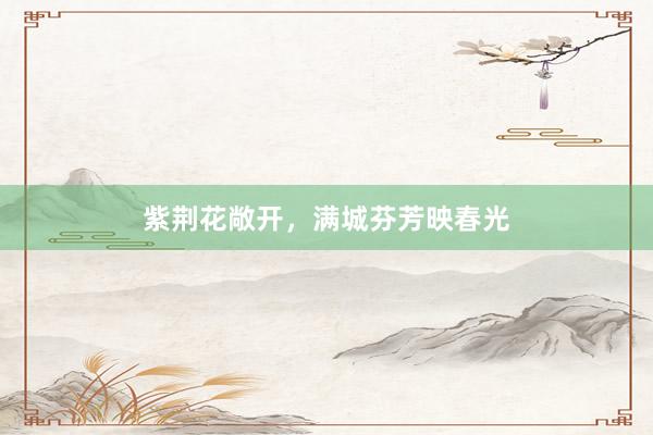 紫荆花敞开,满城芬芳映春光
