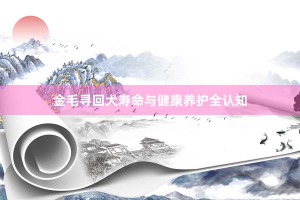 金毛寻回犬寿命与健康养护全认知