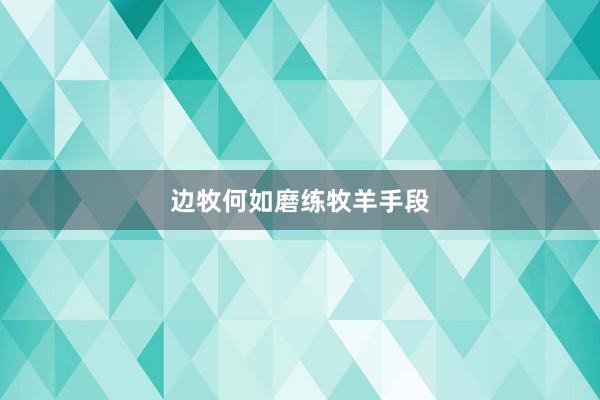 边牧何如磨练牧羊手段